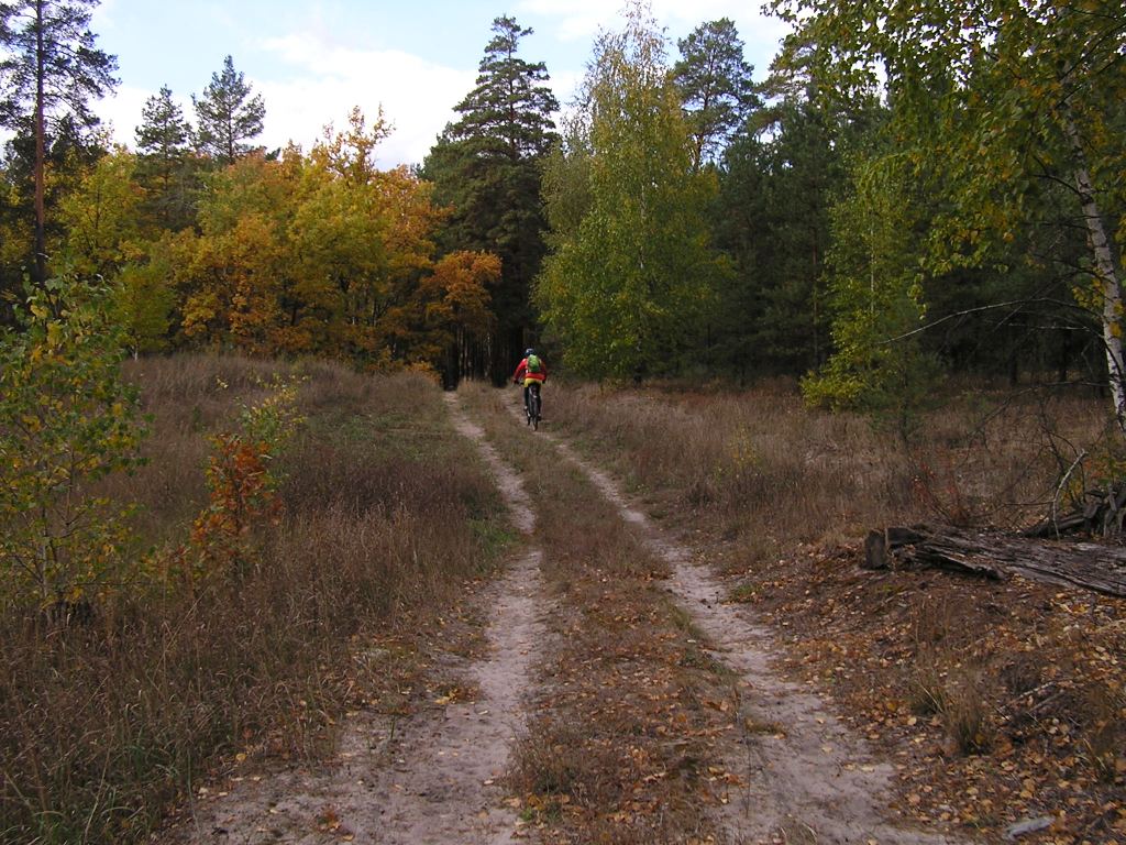 P1010052.JPG