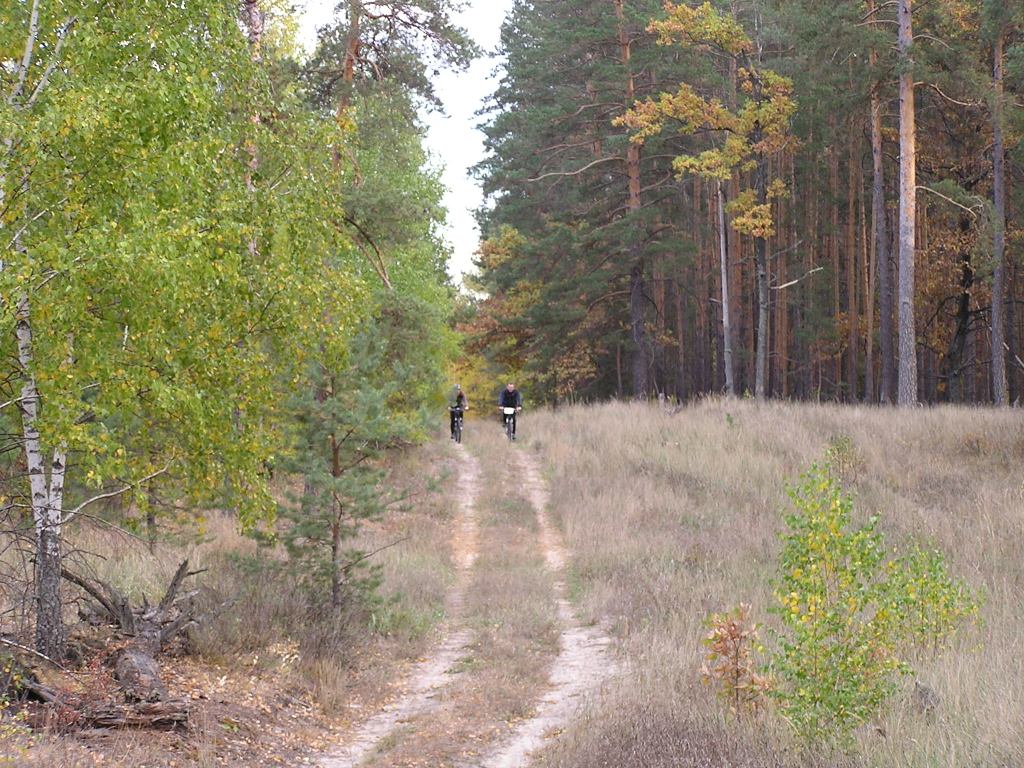 P1010057.JPG