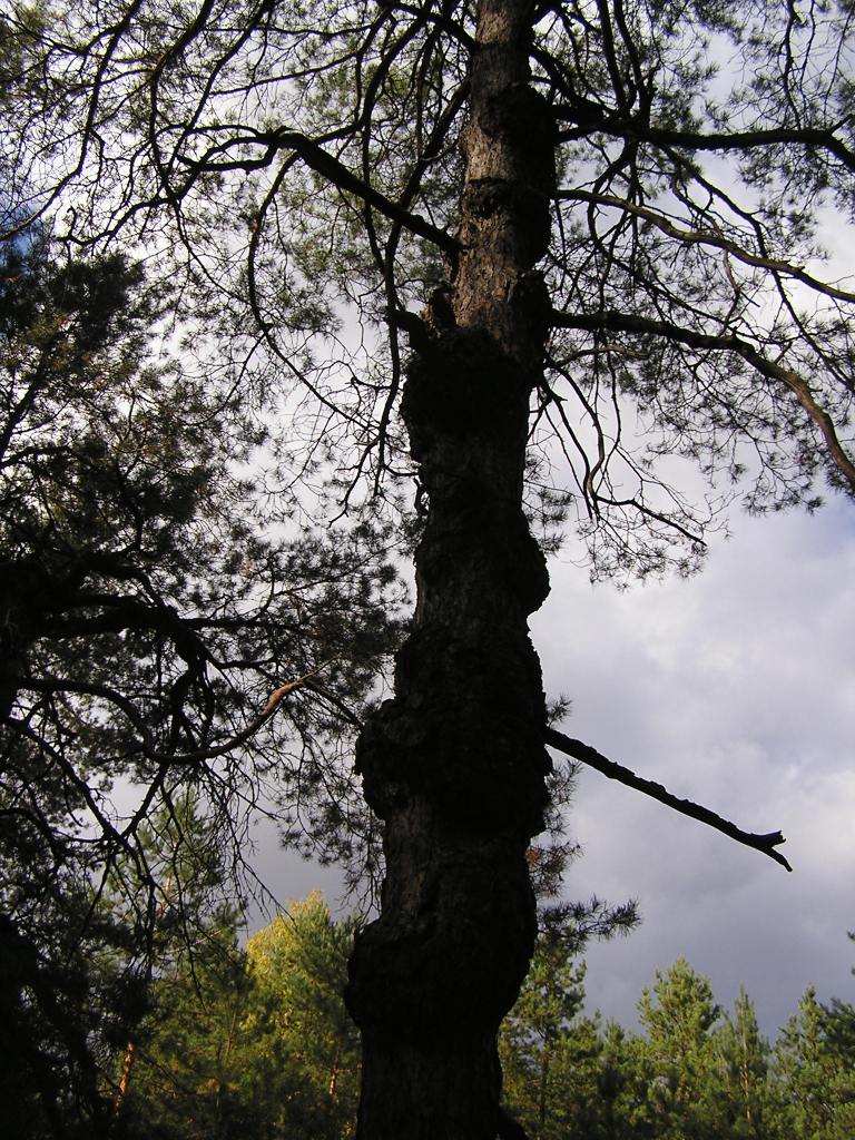 P1010059.JPG