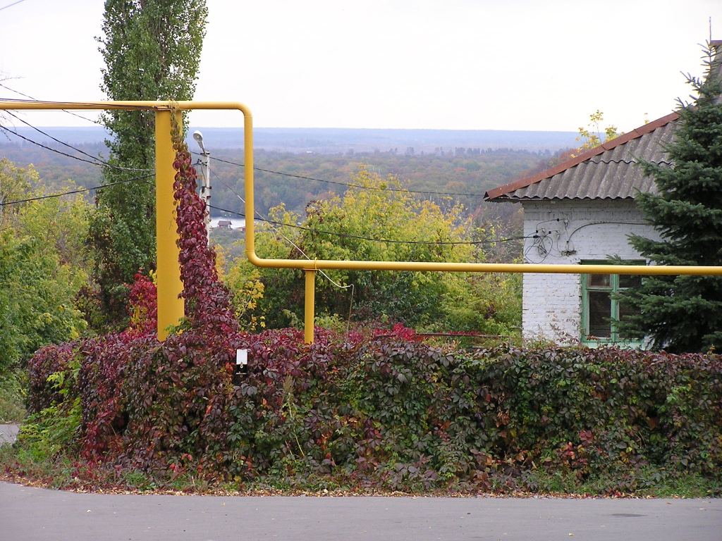 P1010069.JPG