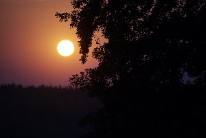 DSC_1289_resize.jpg