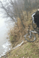 IMG_20141109_105249.gif