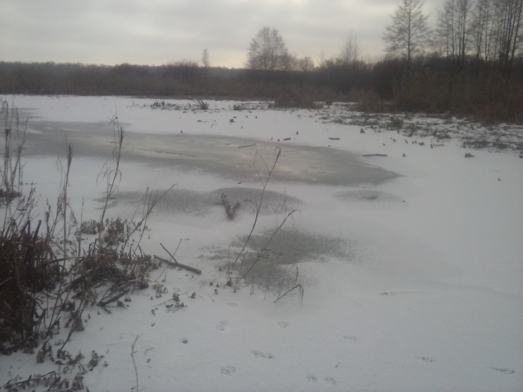 CAM00101_новый размер.jpg