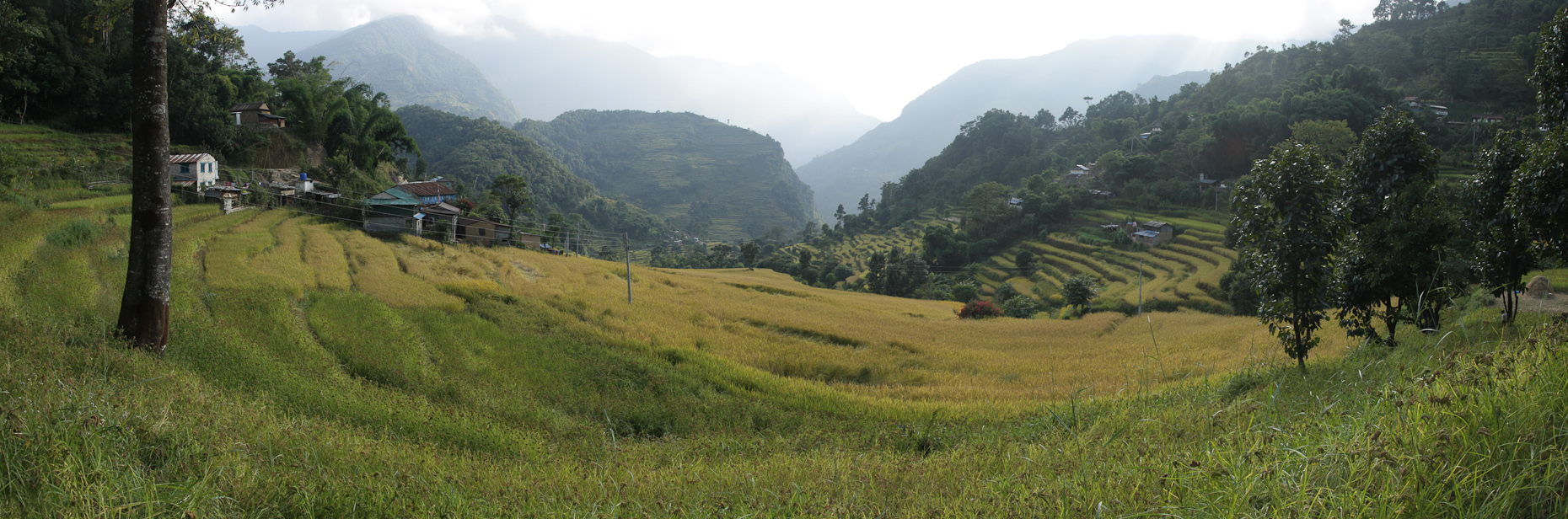 2014_11_06_6767_Pano_a.jpg