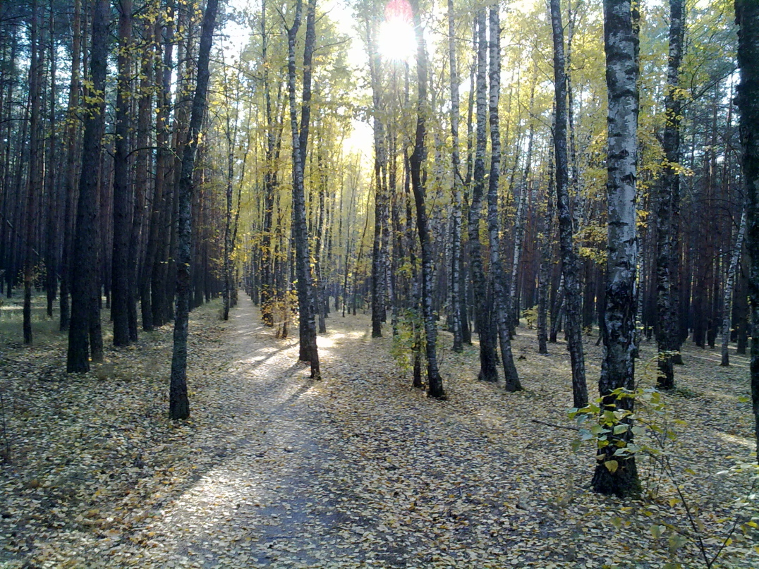 071020143323.jpg