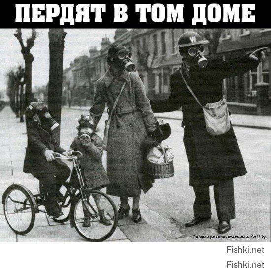 Пердят..jpg