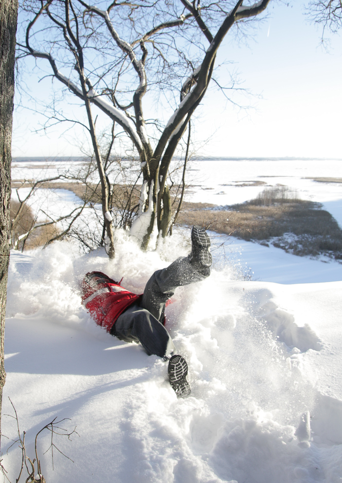 2014_12_31_8061_a.jpg