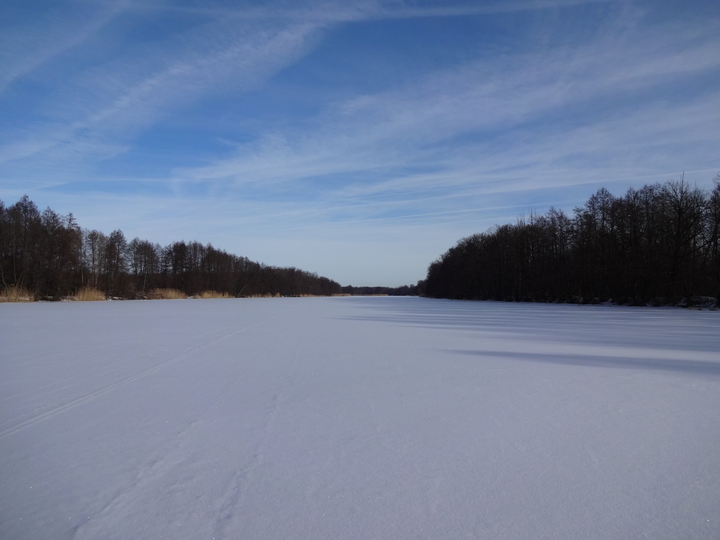 DSC01574.JPG