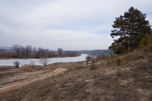 DSC00418 (640x426).jpg