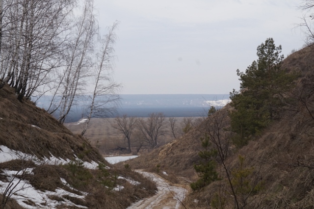 DSC00434 (640x426).jpg