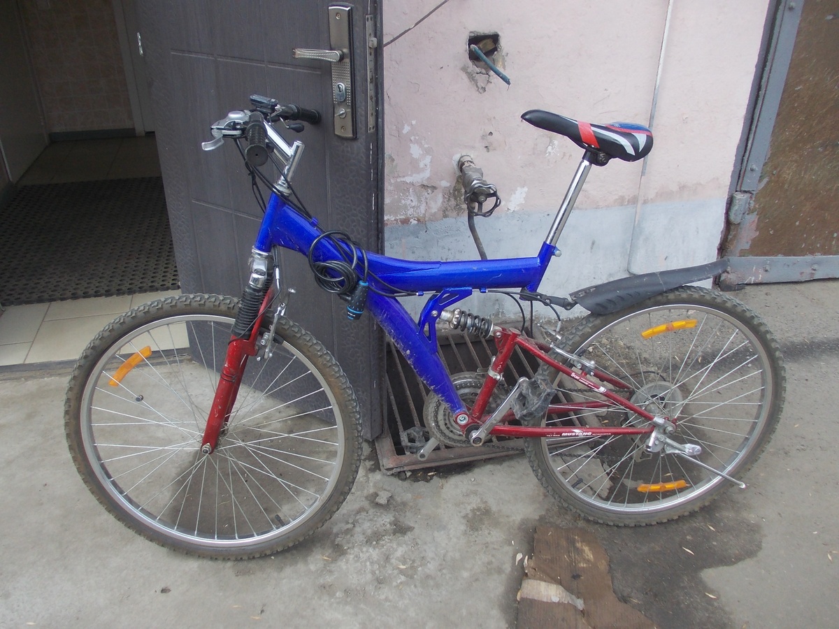DSCN0729.JPG