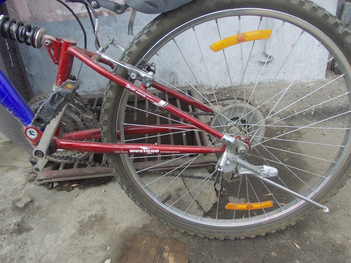 DSCN0732.JPG