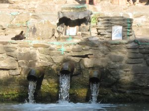 IMG_0996.jpg