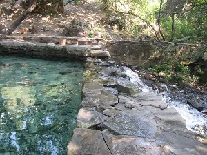 IMG_1000.jpg