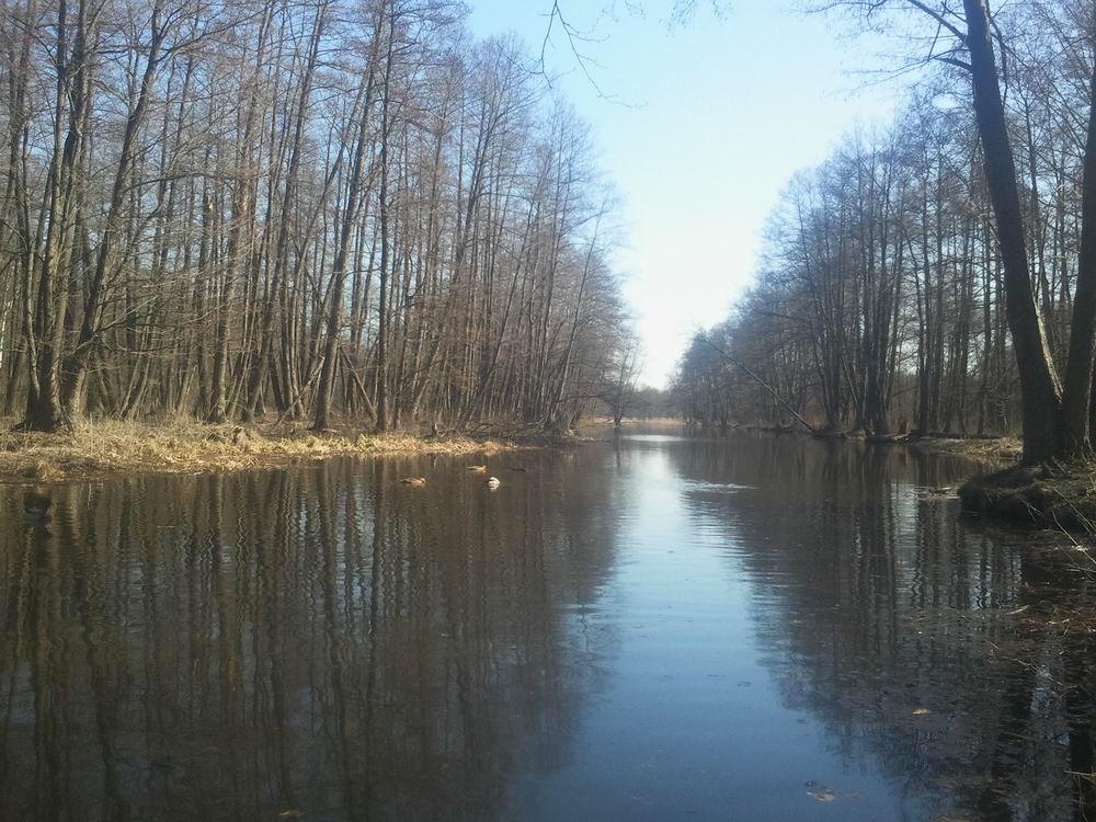 Resize of 2015-04-11 15.25.58.jpg