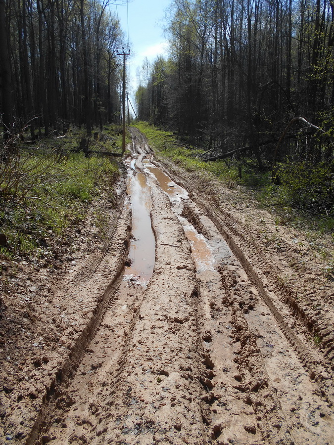 43 to cut mud.jpg