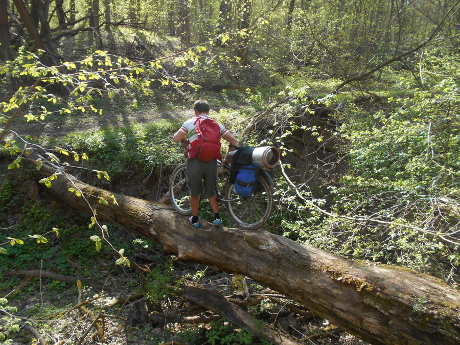 45to cut log.jpg