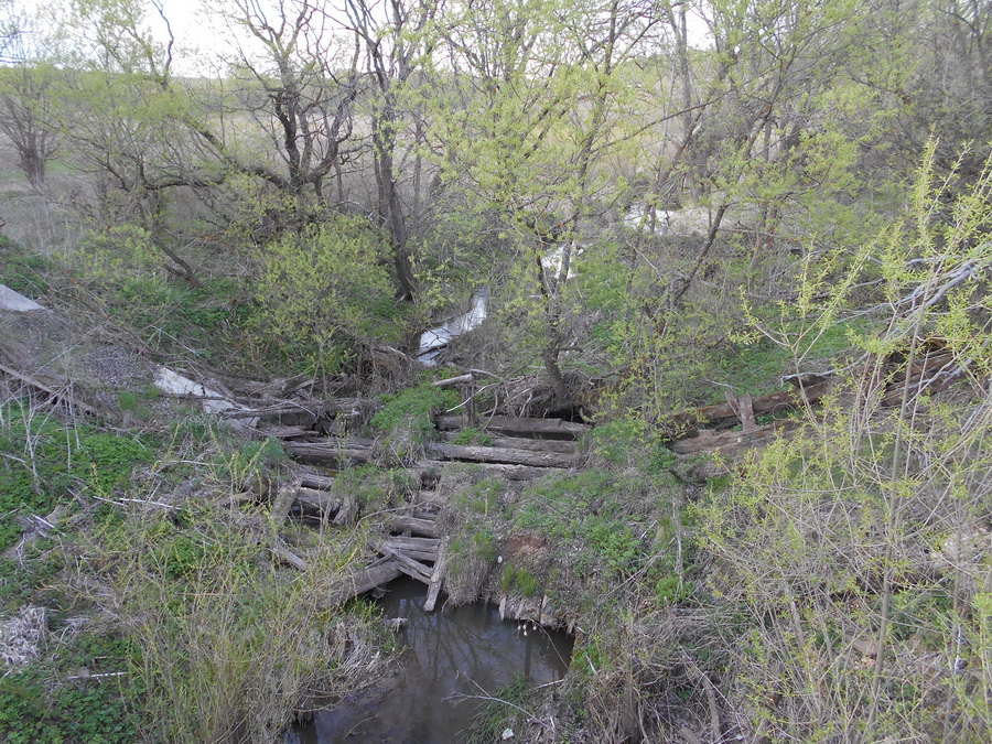 15 bridge Рука.jpg