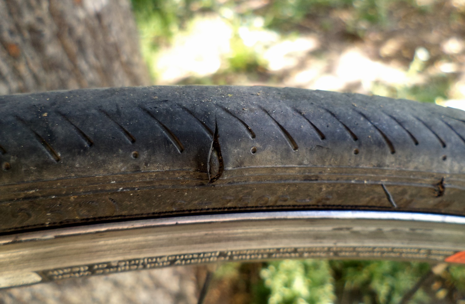 60_TireCut.jpg