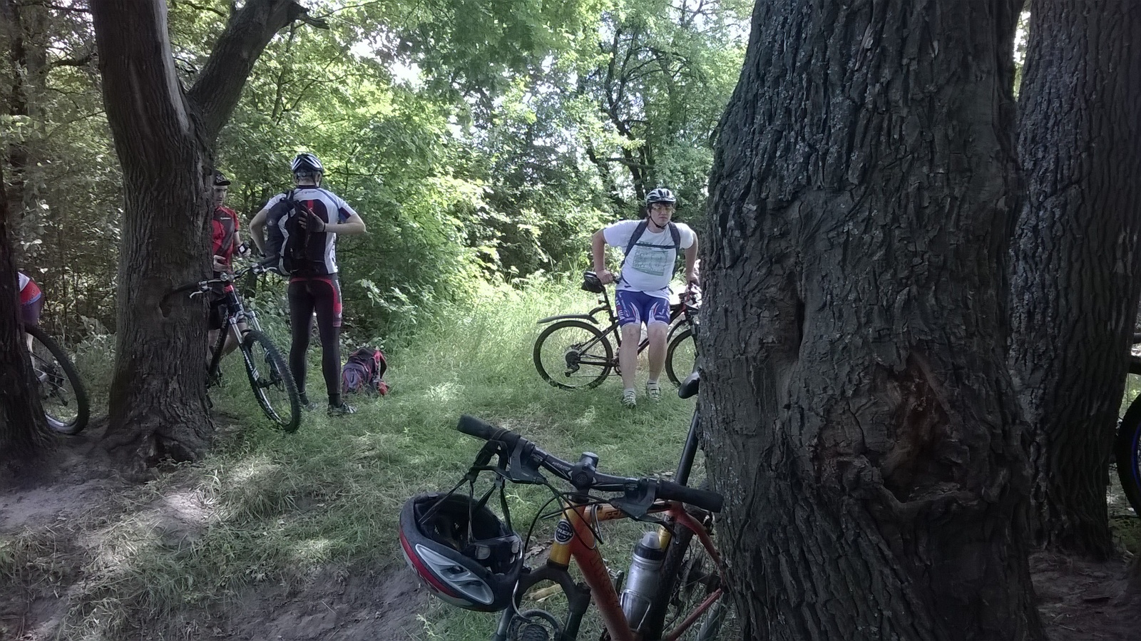 WP_20150606_007.jpg
