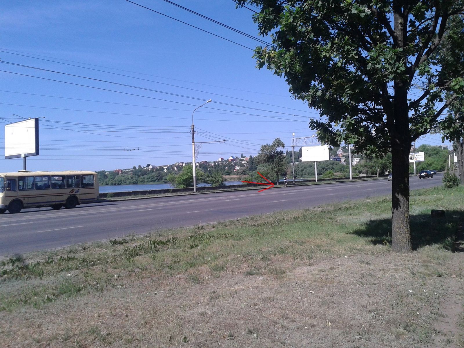 455.jpg