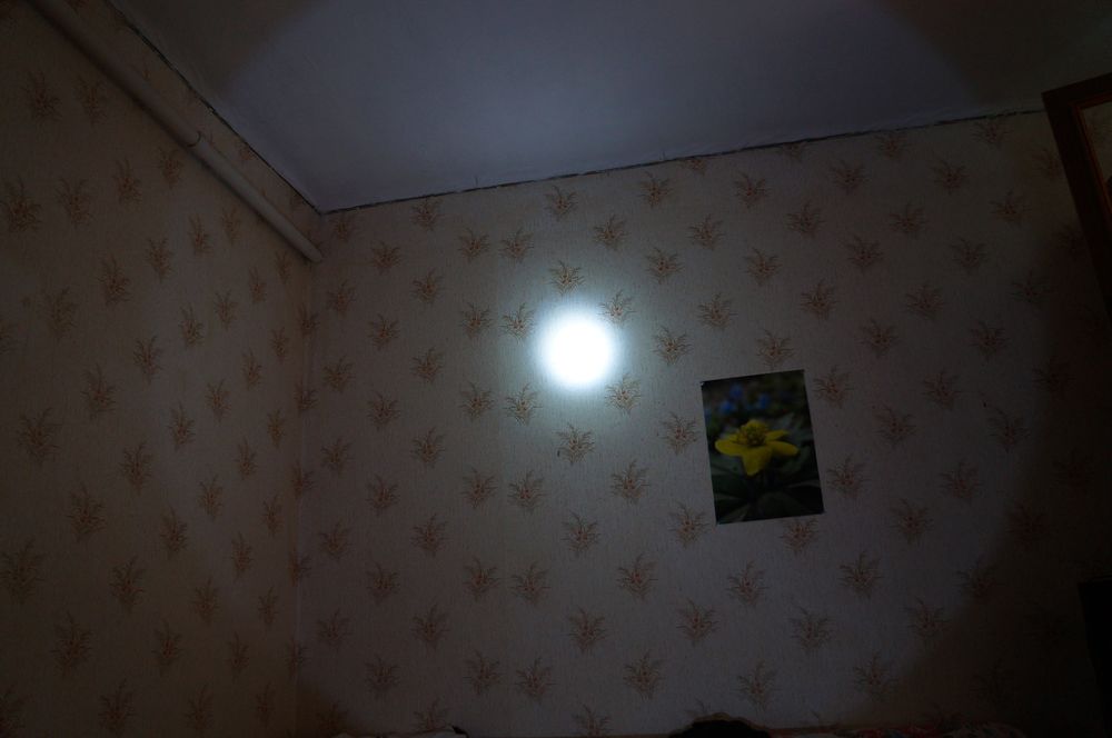 DSC09585.JPG