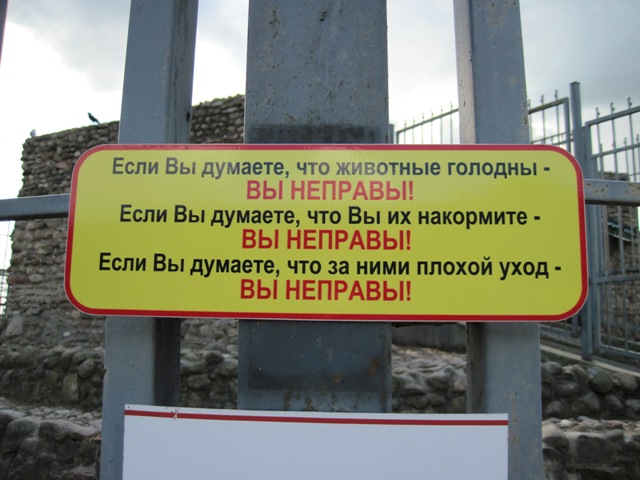 IMG_5577.JPG