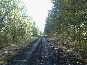 04.jpg
