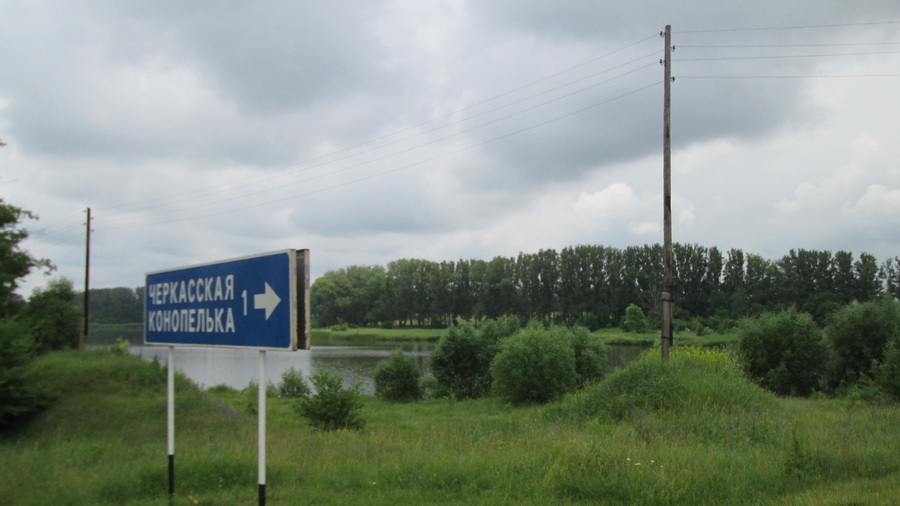 31konopelka.jpg