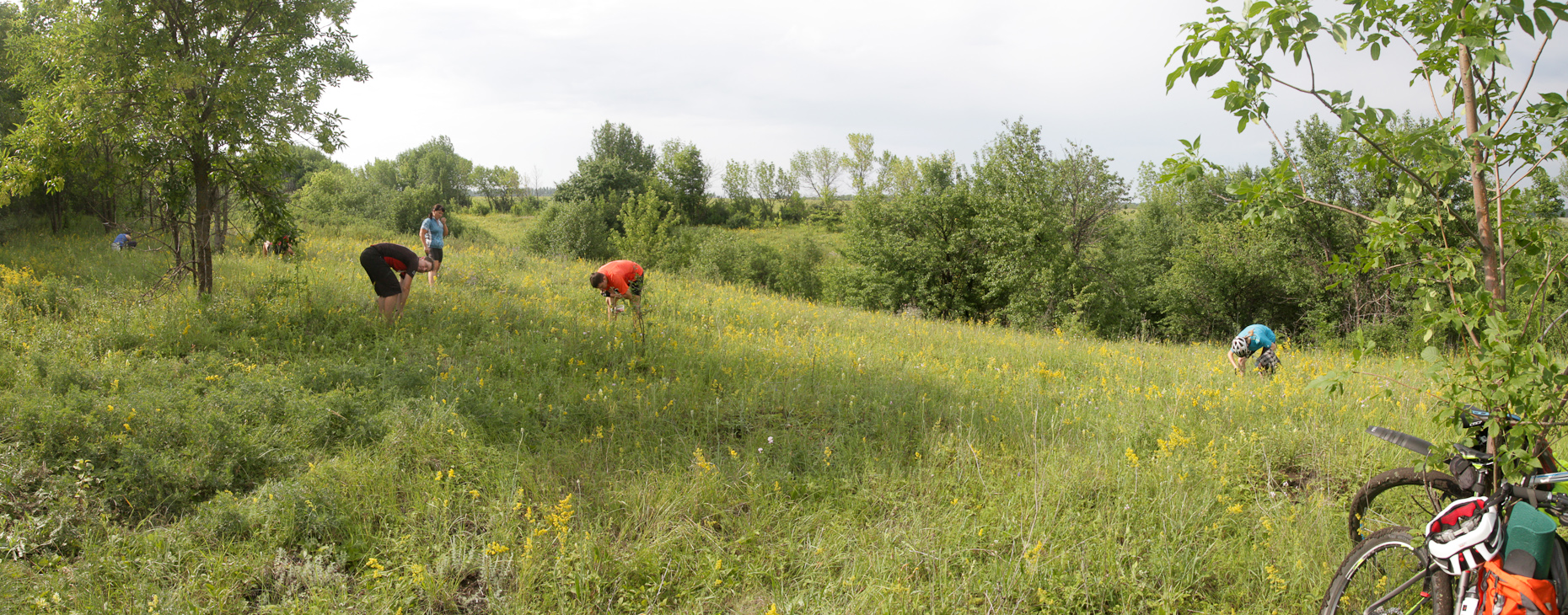 2015_06_26_9463_Pano_a.jpg