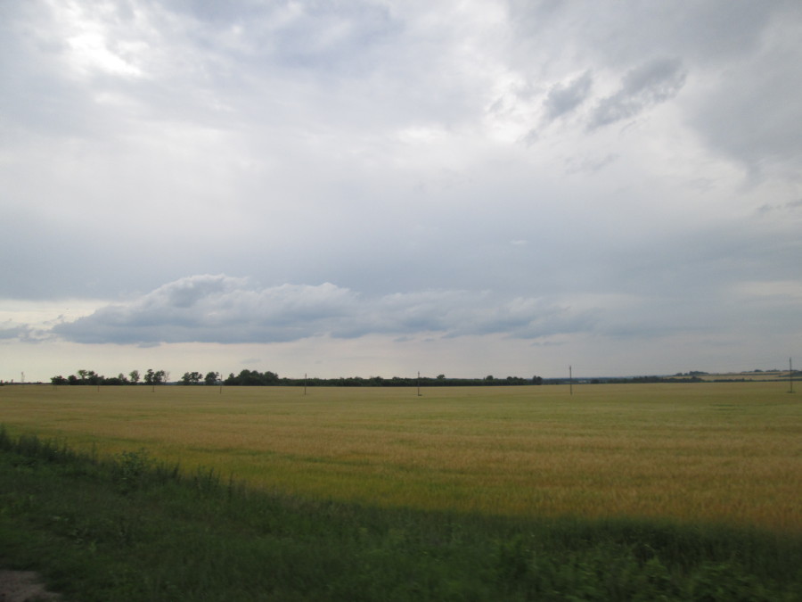 IMG_0504.JPG