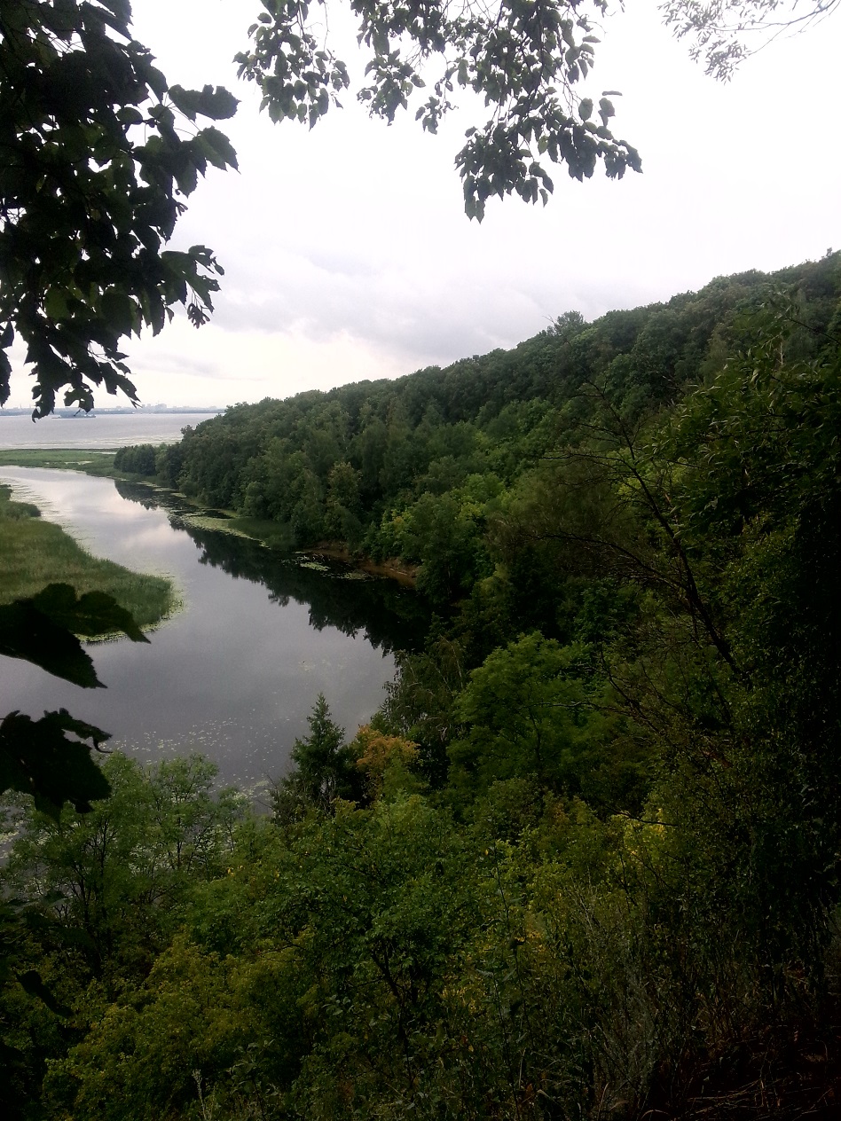P50714-172041.jpg