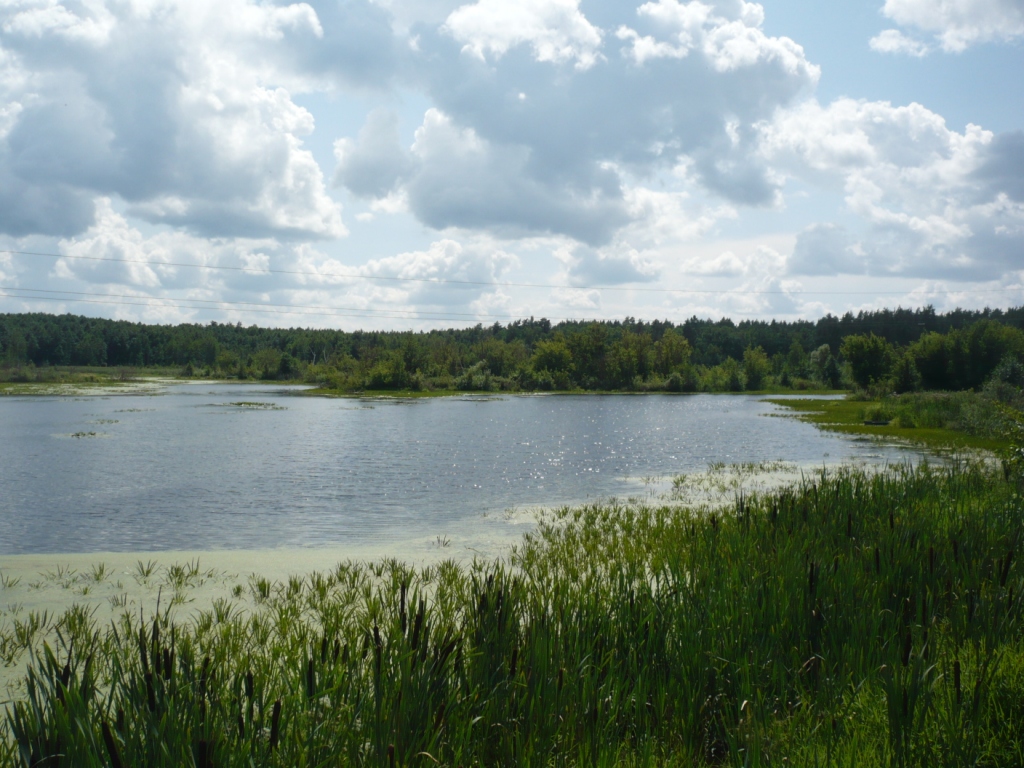P1160174.JPG