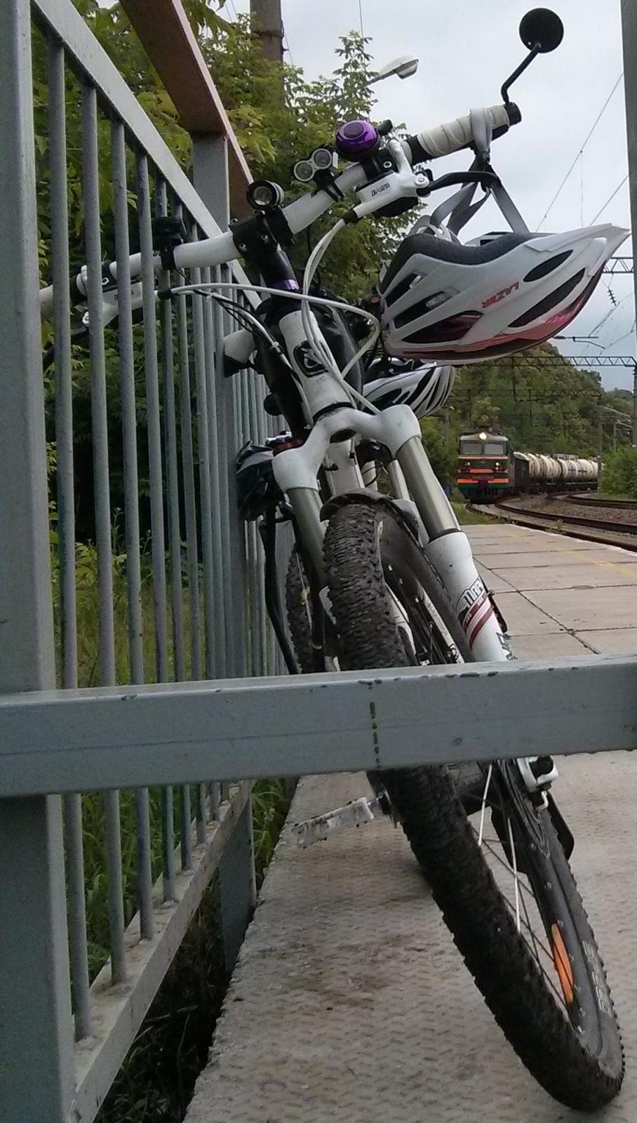 m2.jpg