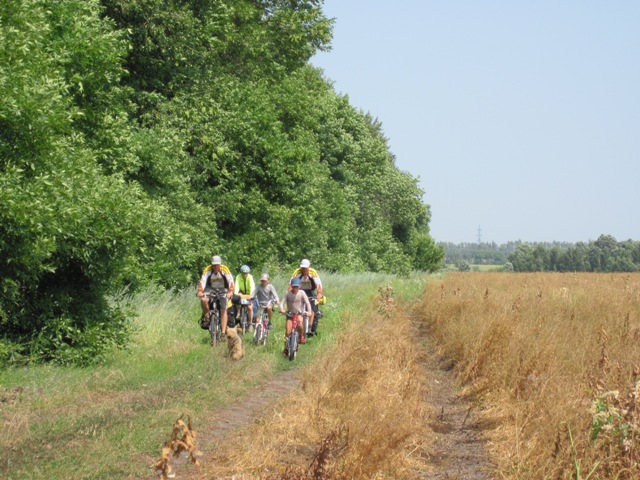 IMG_8593.JPG