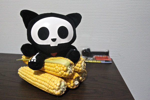 Kit & Corn.jpg