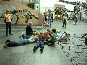 В музее