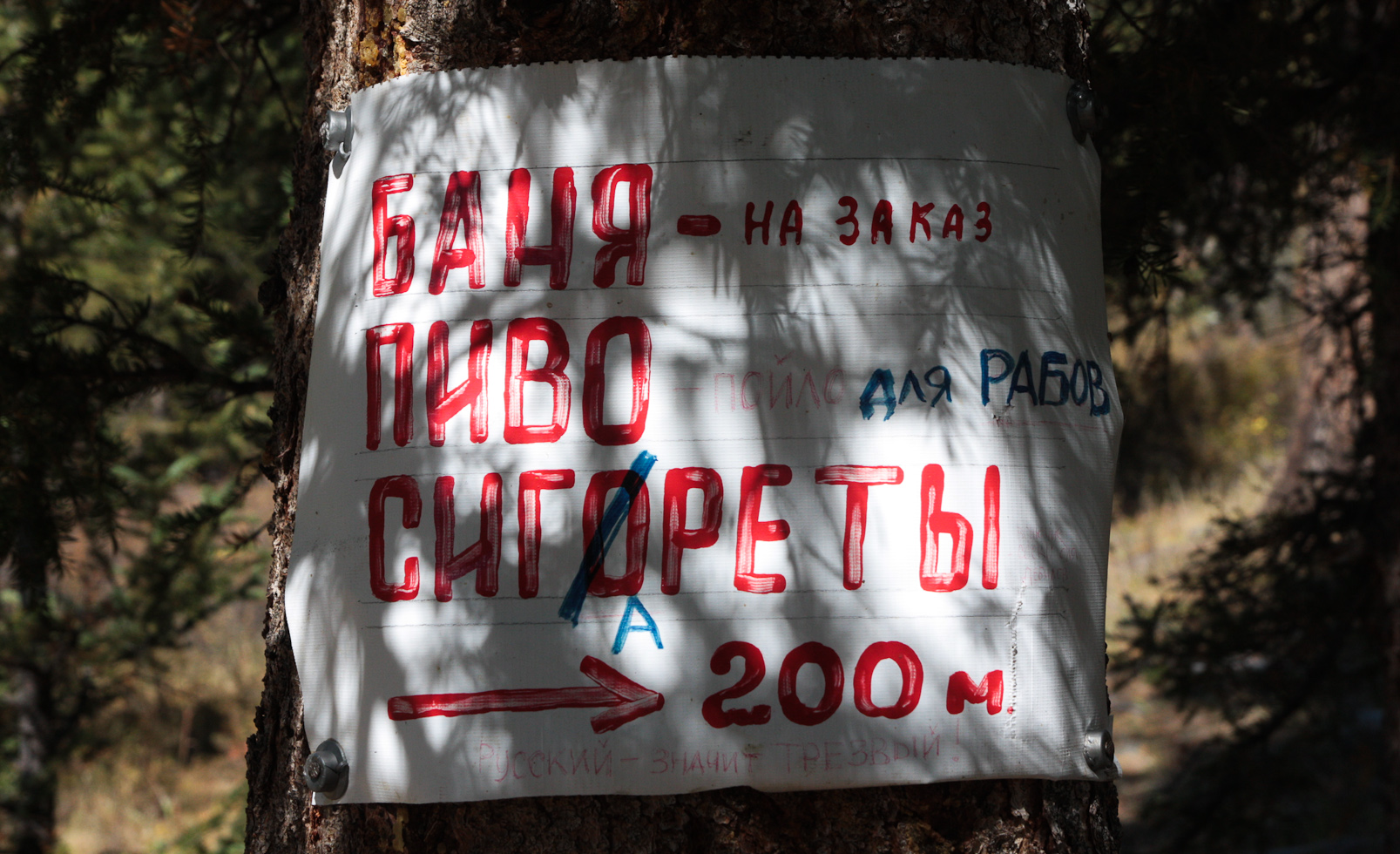 Русский – значит трезвый!