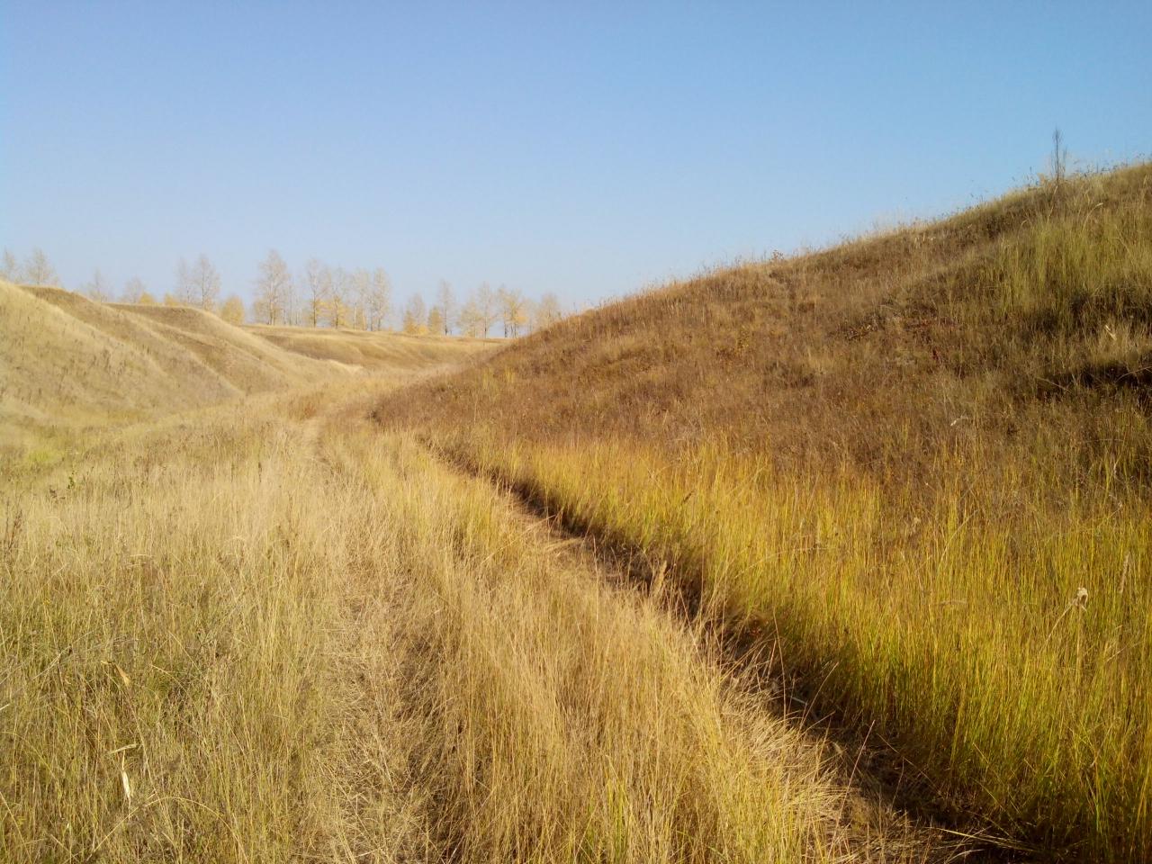 05 Каньон.jpg