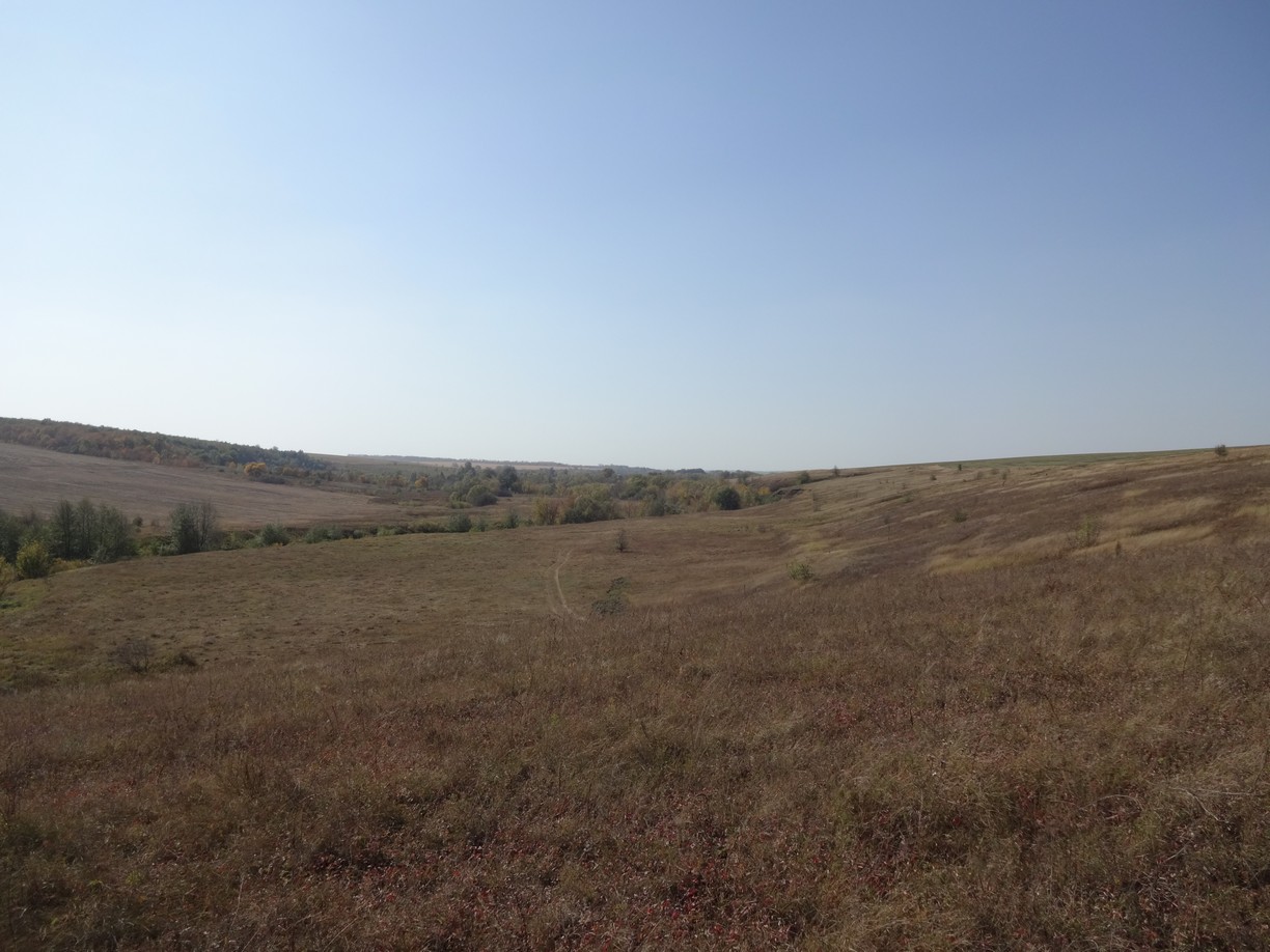 DSC02628.JPG