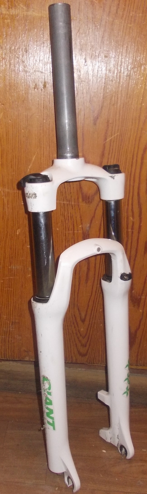 DSCN0928.JPG