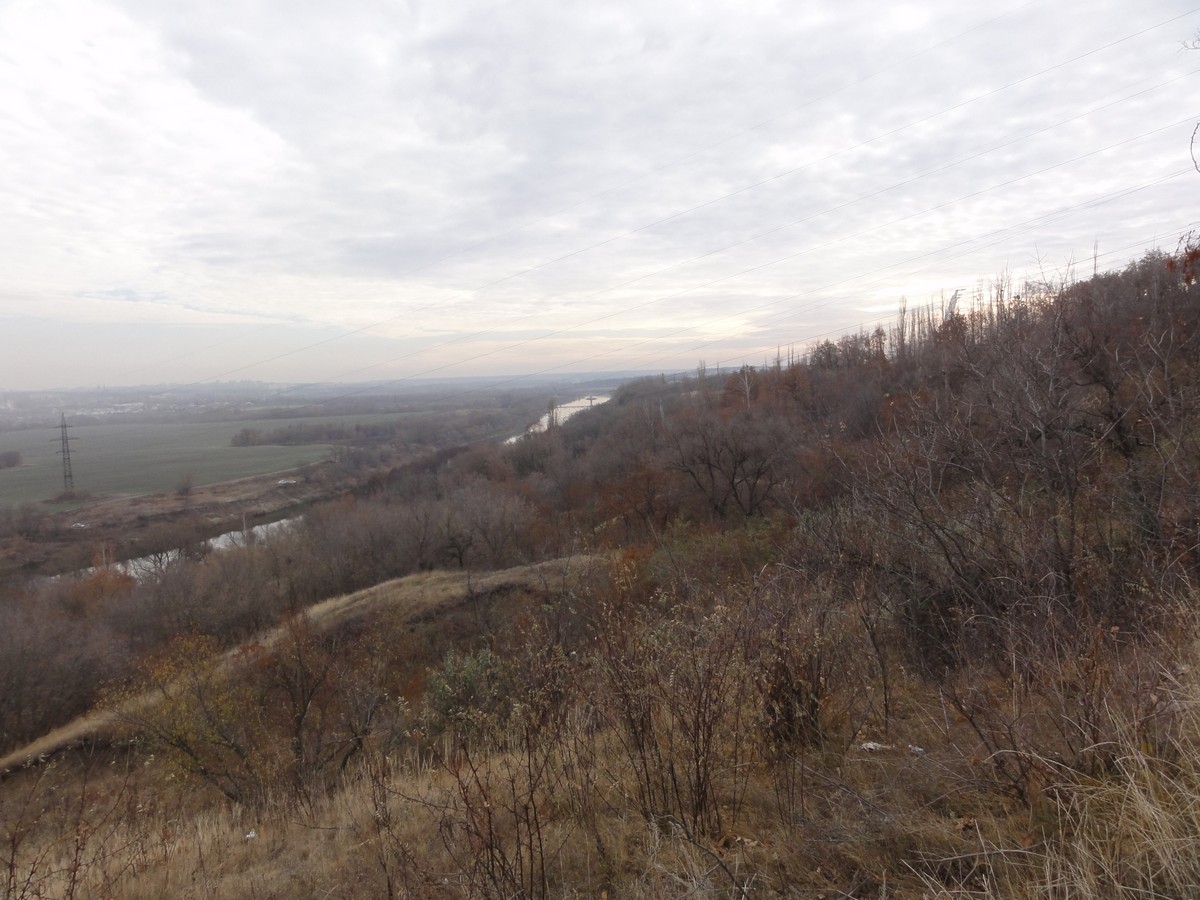DSC06910_.jpg