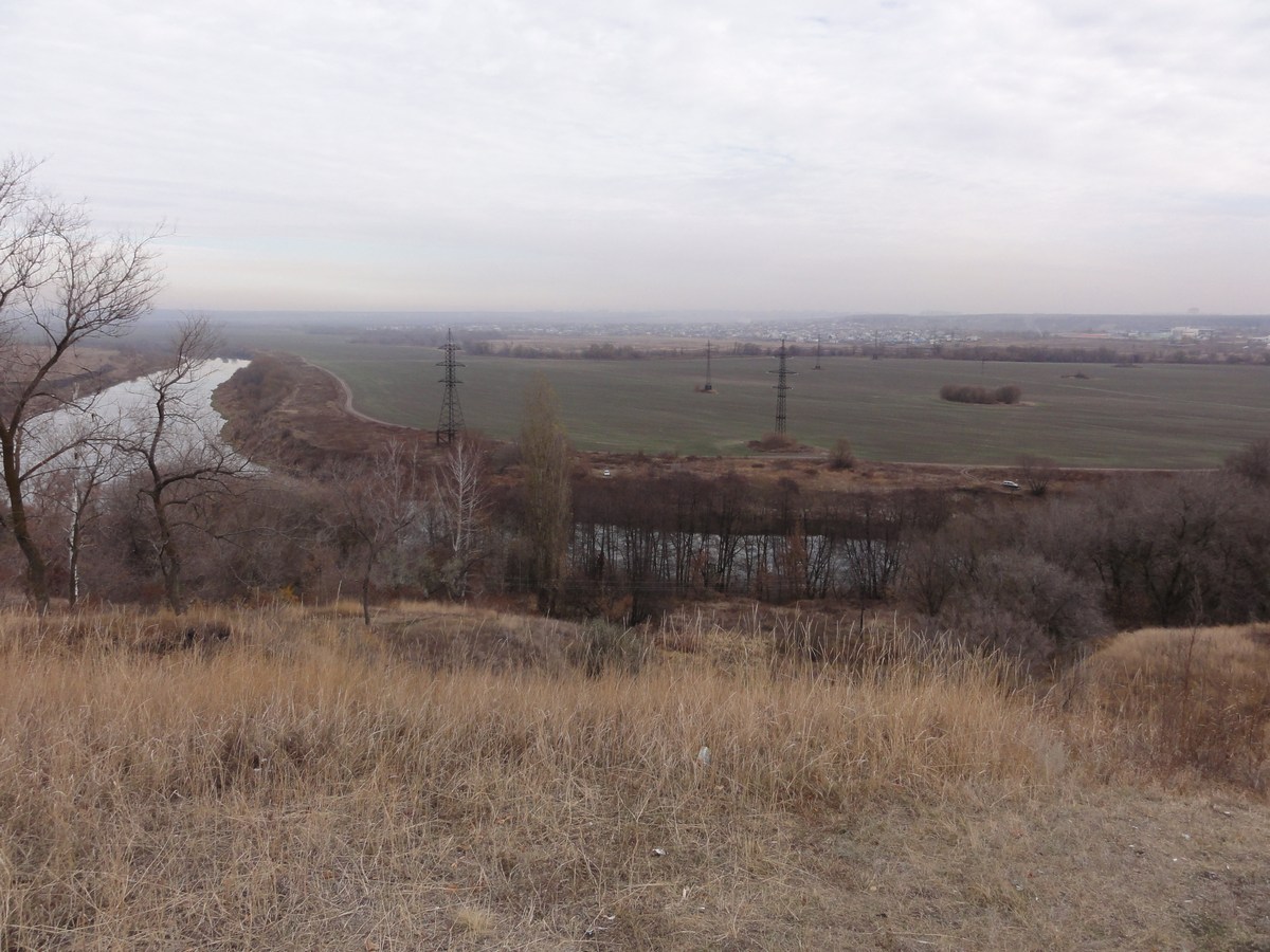 DSC06917_.jpg