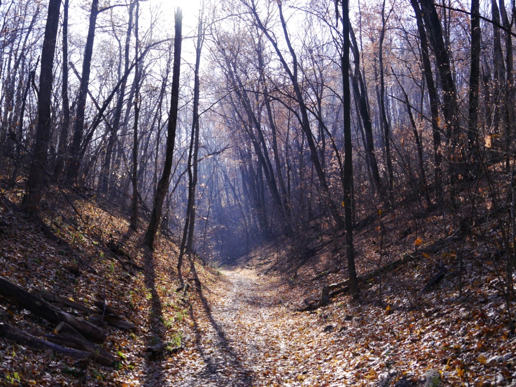 P1170030.JPG