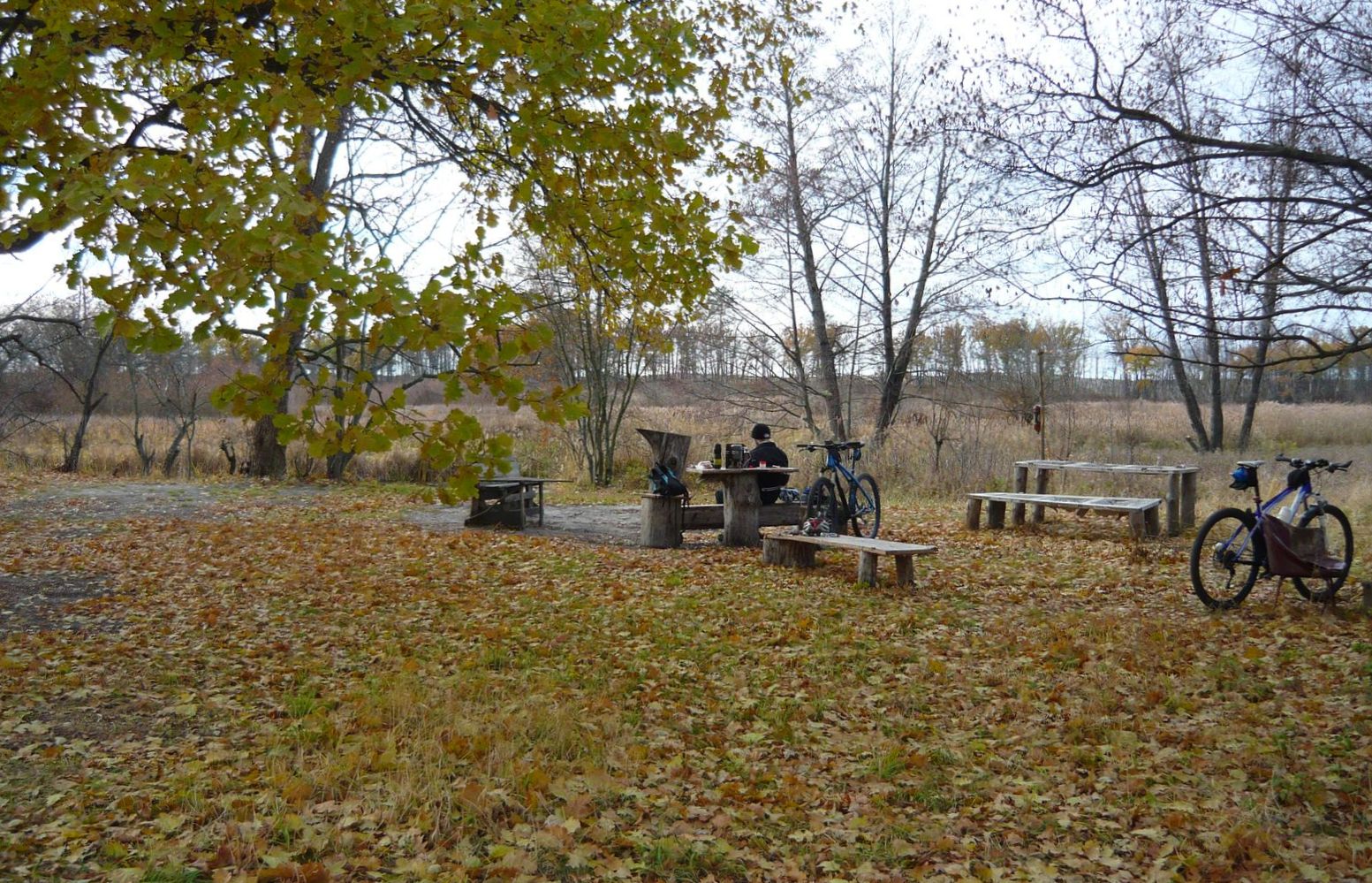 2015_10_30 12-47-26 P1120770.jpg