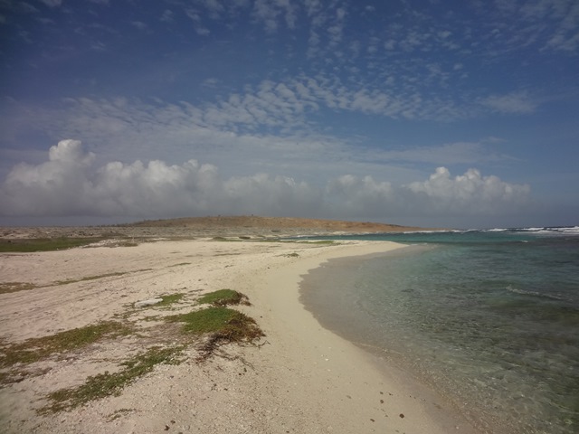 DSC03825.JPG