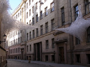 Стены домов затянуты плесенью и паутиной