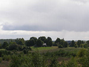 Medumi2.jpg