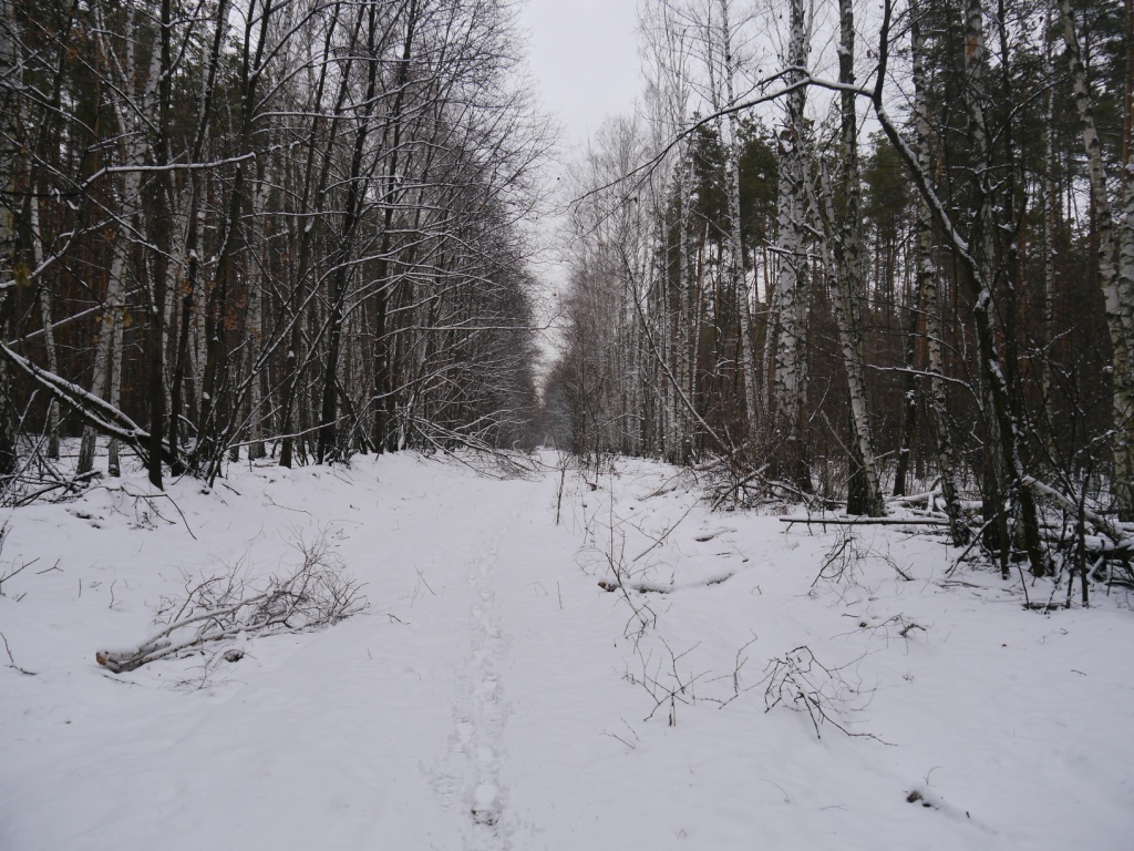 P1170638.JPG