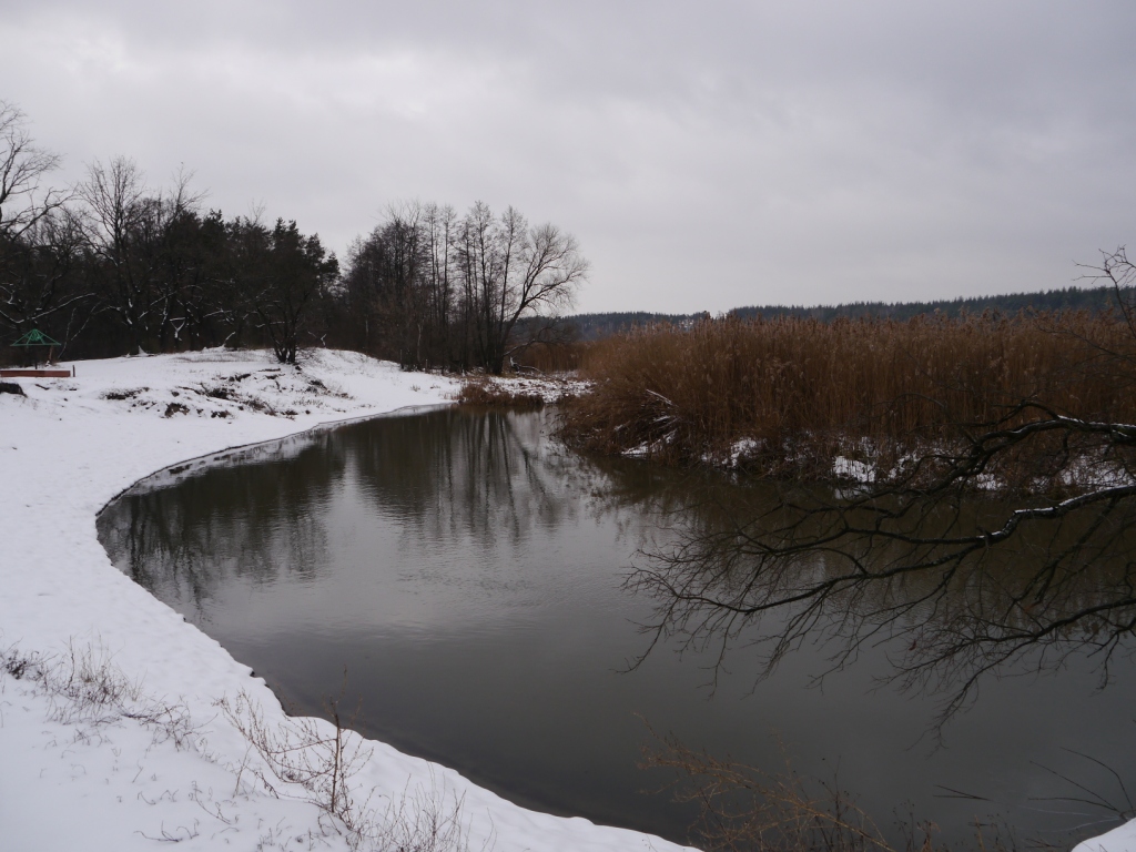 P1170642.JPG
